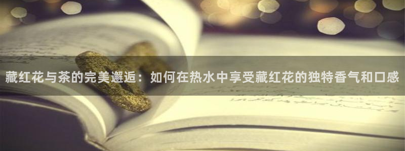 彩名堂人工计划怎么找不到下载了?