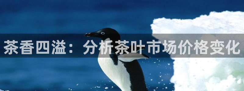 彩名堂计划最新版手机版