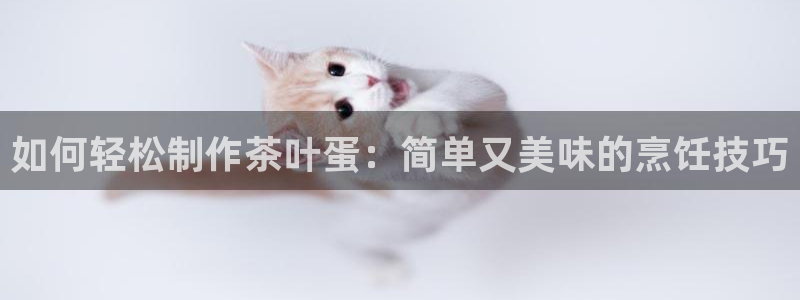 彩名堂是什么