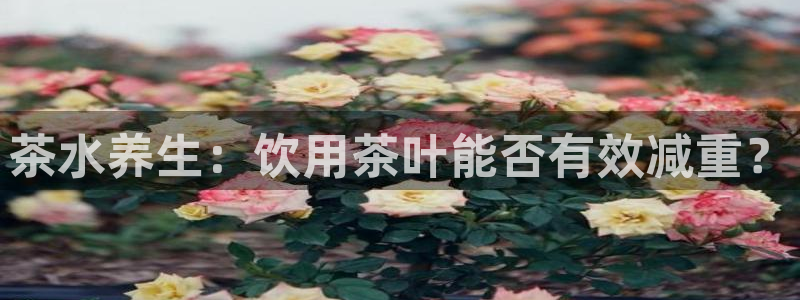 彩名堂拼音怎么拼