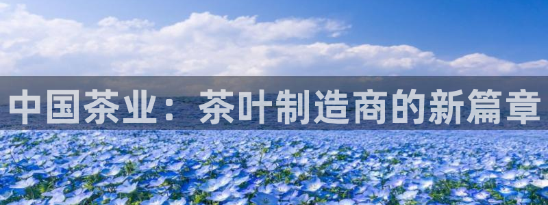 彩名堂怎么跟计划才不连挂呢
