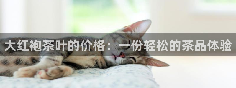 彩名堂开奖结果查询
