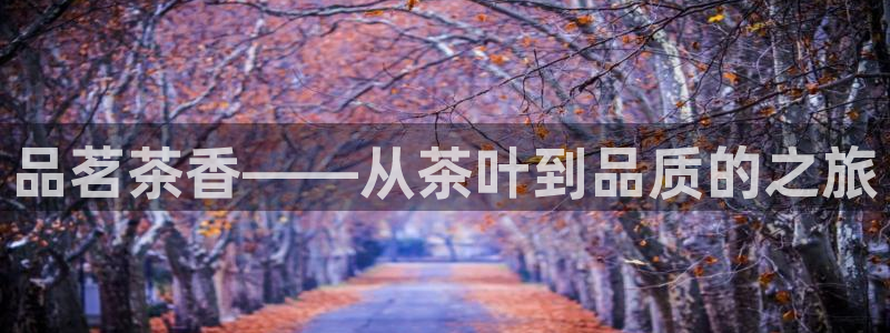彩名堂怎么跟计划才不连挂呢