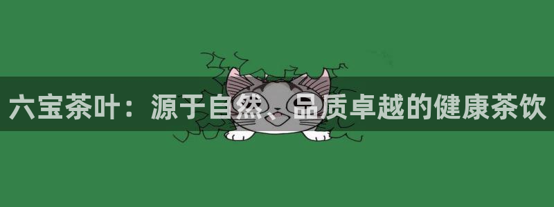 彩名堂怎么选稳定计划