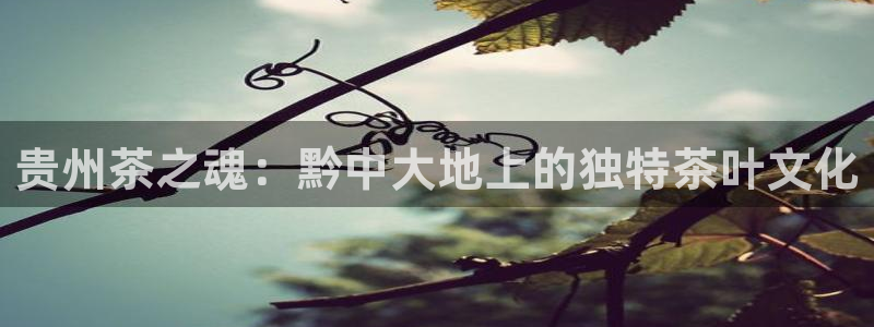 彩名堂苹果版怎么不能用了