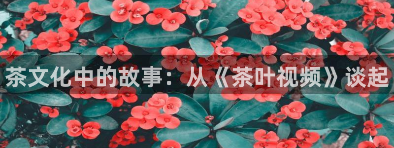 彩名堂免费计划官网怎么进不去了呢
