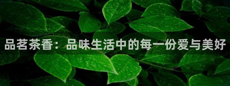 彩名堂官网在线计划怎么不更新了