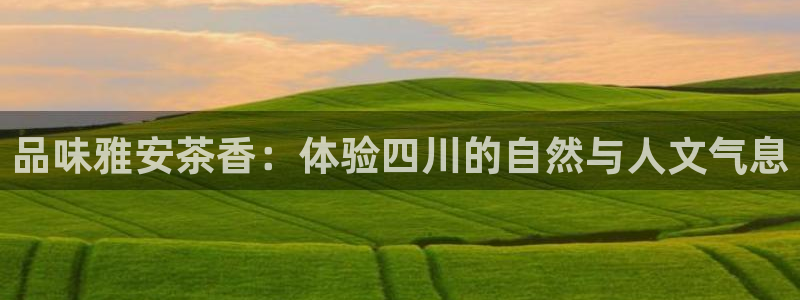 彩名堂5.0版计划怎么用不了