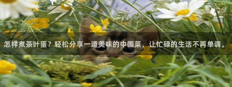 彩名堂最新计划下载地址