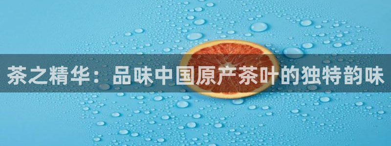 下载彩名堂预测计划软件