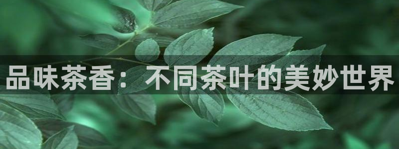 cmt彩名堂