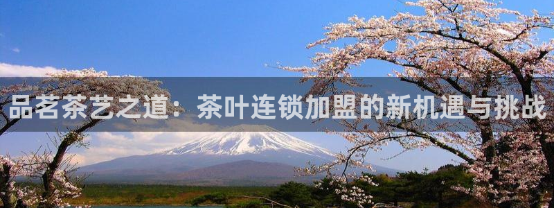 彩名堂官网计划01