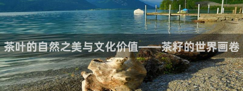 彩名堂网页