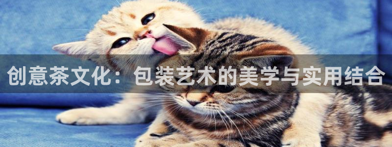 下载彩名堂预测计划软件安装