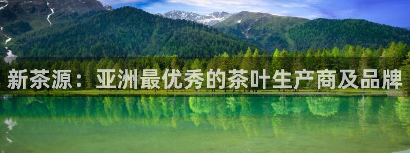 老版本彩名堂计划软件