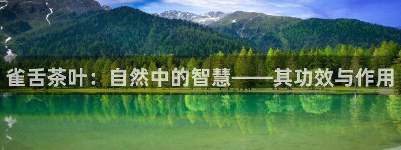 彩名堂客户