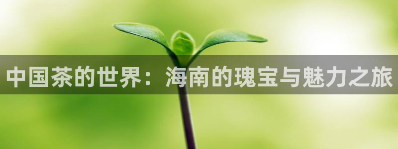 彩名堂预测软件