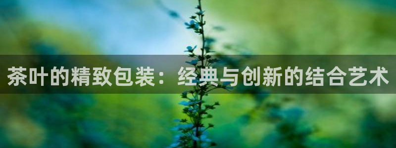 老版彩名堂