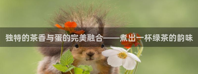 彩名堂为什么突然不能用了