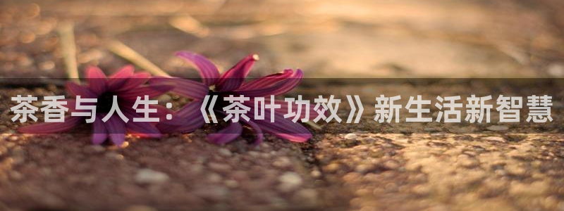 彩名堂开奖结果查询