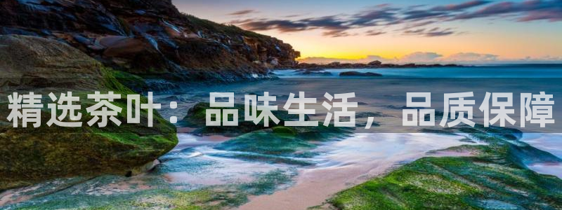 彩名堂官网计划怎么下载到手机