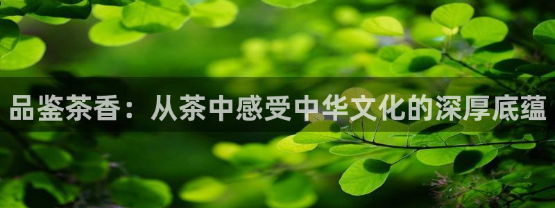 彩名堂怎么买准确率高一点