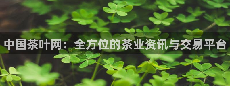 彩名堂怎么买准确率高一点