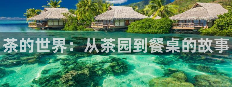 彩名堂官网谁有
