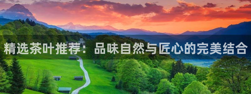 彩名堂怎么跟计划才不连挂在一起