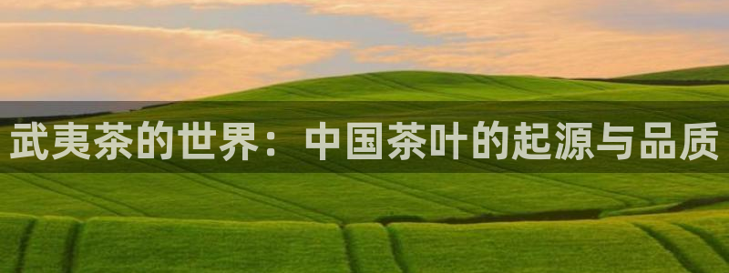 彩名堂官网计划01