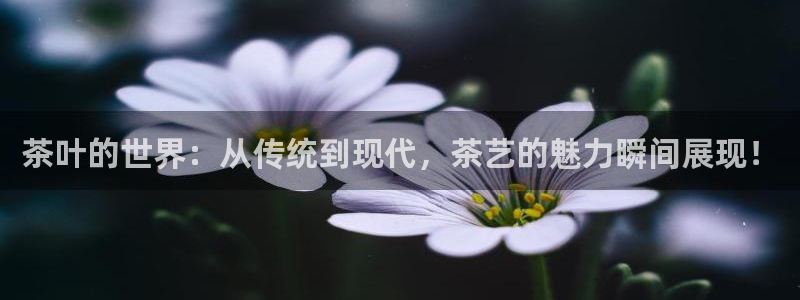 彩名堂app2.05版本