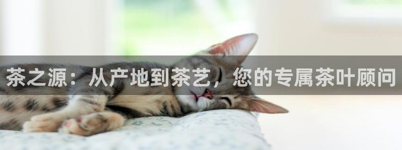 彩名堂图片