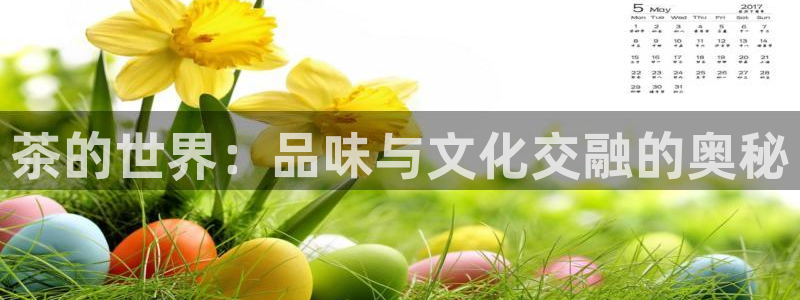 彩名堂官网计划01