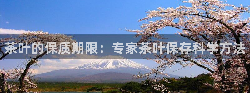 彩名堂计划软件下载