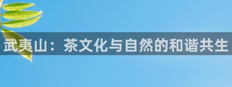 彩名堂手机客户端怎么进不去了