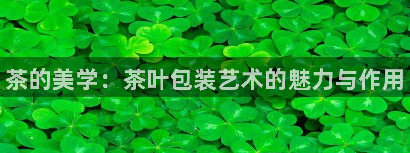 彩名堂为什么打不开