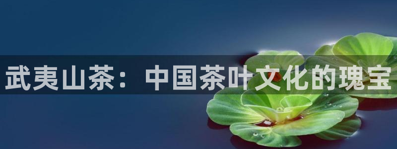 彩名堂怎么打最稳