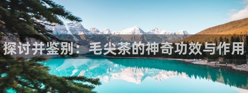 彩名堂预测免费计划怎么看的