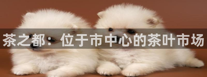 彩名堂使用方法