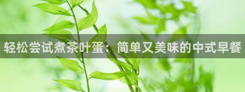 正规彩名堂官网计划01