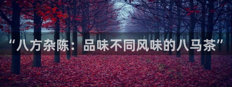 彩名堂app下载5.1.0