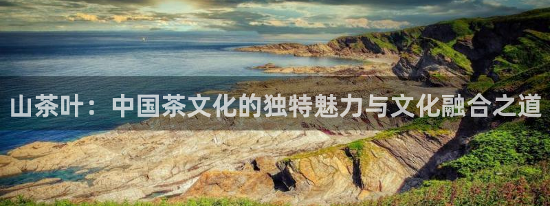 老版本彩名堂计划软件