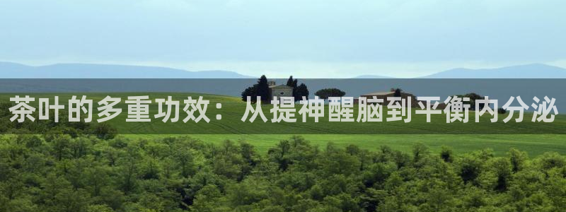 老版本彩名堂计划软件