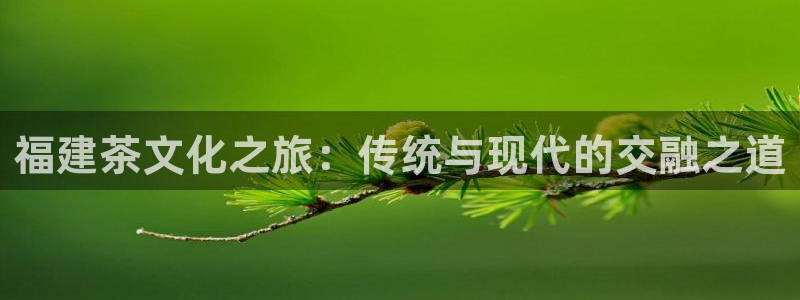 彩名堂怎么跟计划才不连挂呢