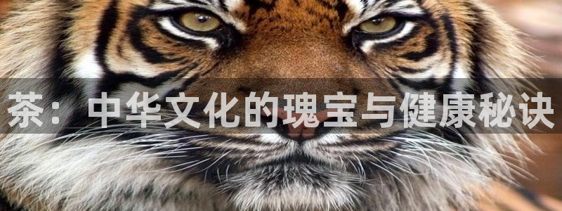 彩名堂是不是坑人的