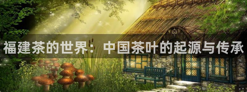 彩名堂下载官网