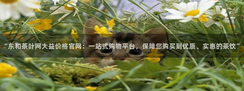 彩名堂客服电话号码