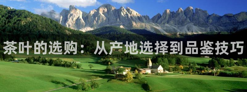 彩名堂免费计划官网购彩计划