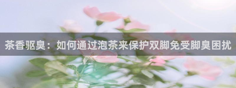 彩名堂免费计划官网5.0app