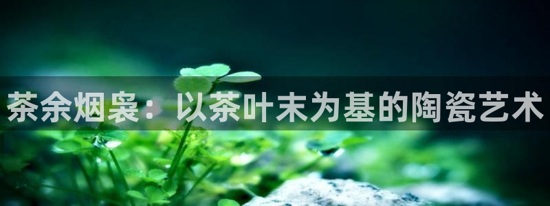 彩名堂人工计划怎么找不到下载了?